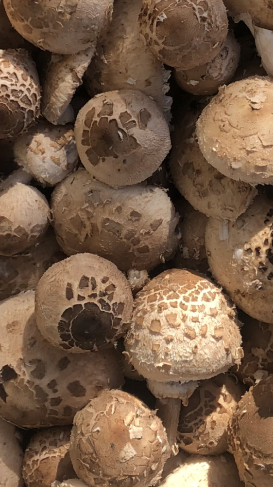 produits locaux près de Ahuy 